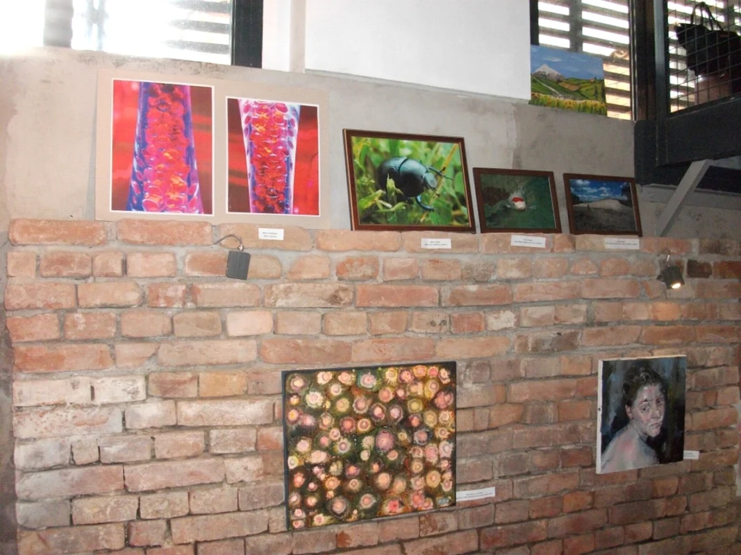 calarasi salon arta