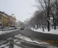 dezapezire satu mare