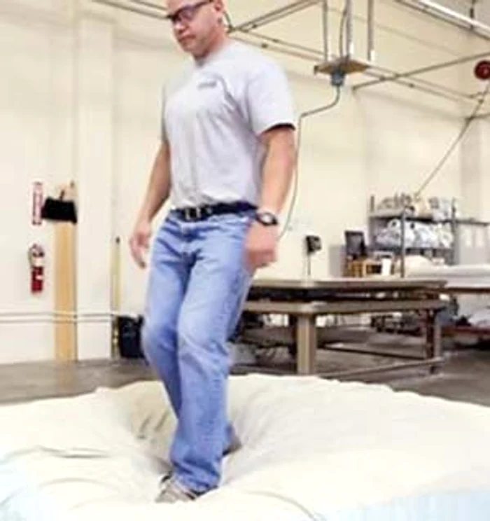 E plătit să mănânce papa câinelui