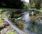 Parcul dendrologic Simeria Foto Daniel Guță ADEVĂRUL (60) JPG