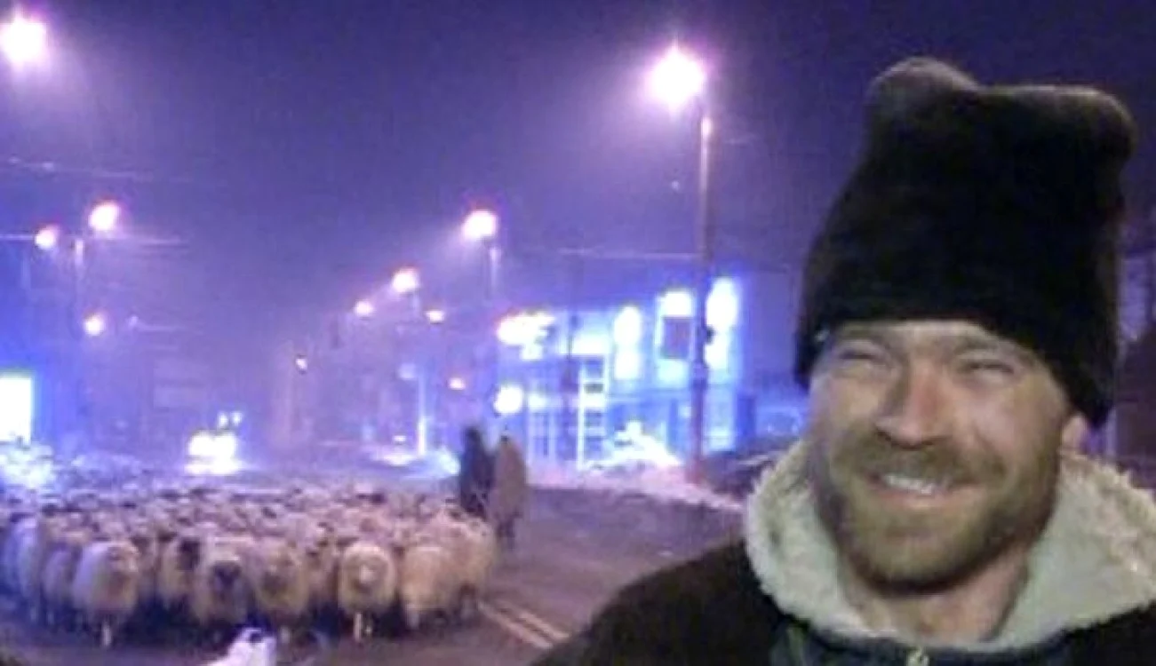 Ciobanul s-a amuzat la întrebările legate de prezenţa lui împreună cu oile prin oraş Foto: bzi.ro