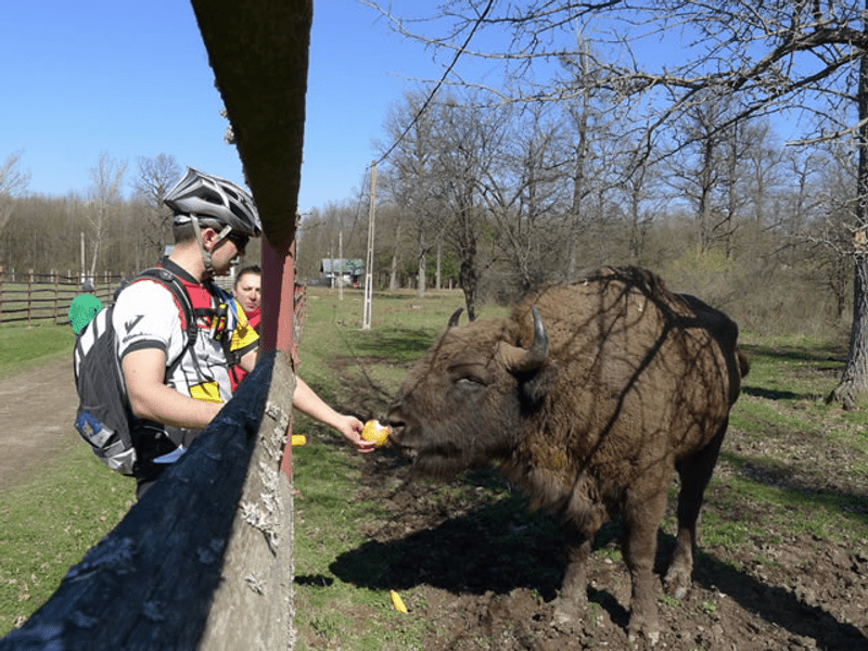 Bucșani, ciclism și turism alături de zimbri, într-o locație ideală, care le împacă pe amândouă 