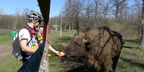 FOTO Traian Goga jpg