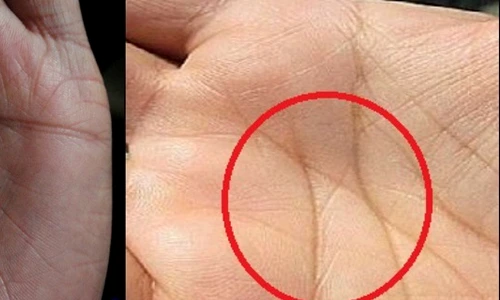 1 74617 original jpg jpeg