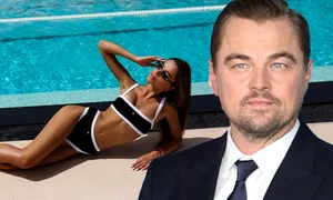 cub Leonardo DiCaprio png