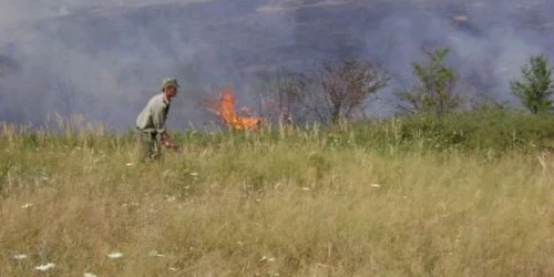 Pompierii au intervenit să stingă focul