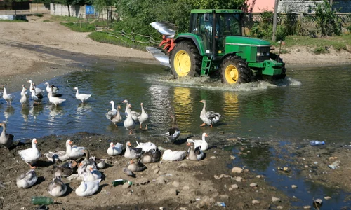 Cum au ajuns nemţii să mănînce Döner jpeg