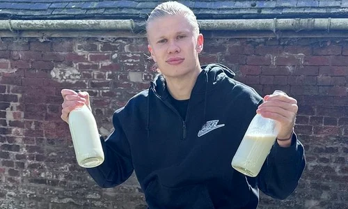 Erling Haaland jpg