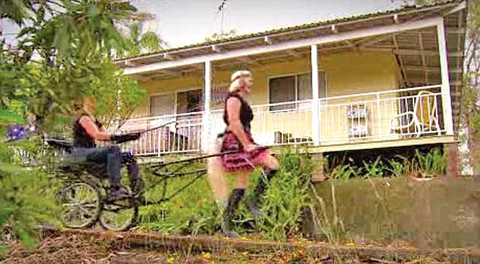 Cel mai bine se simte când trage la trăsură