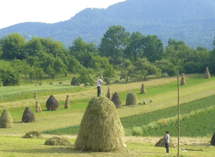 Satul Breb (foto : Teofil Ivanciuc)