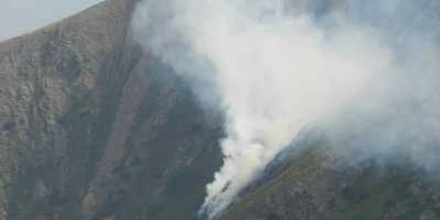 Incendiu de vegetație în Făgăraș