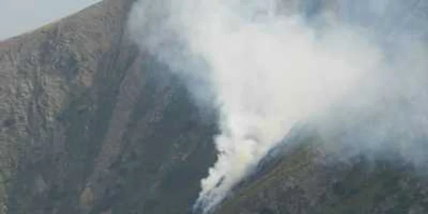 Incendiu de vegetație în Făgăraș