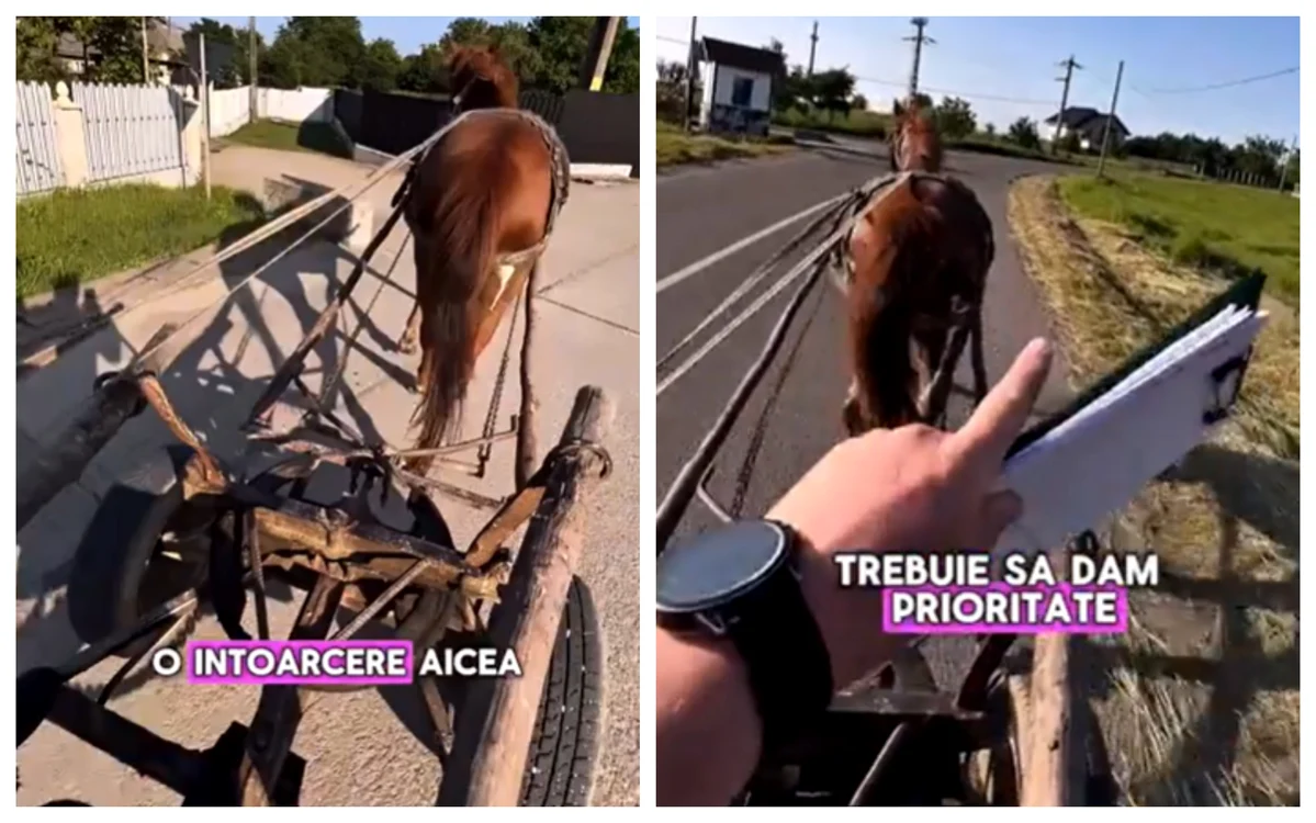 Cal și căruță, la lecția de condus FOTO: Captura video
