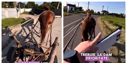 Instructor devenit viral după ce a predat o oră de condus dintr-o căruță: „Să facem o întoarcere aici, din trei sau cinci mișcări”