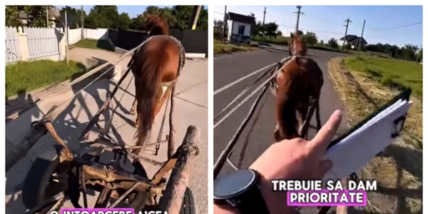 Instructor devenit viral după ce a predat o oră de condus dintr-o căruță: „Să facem o întoarcere aici, din trei sau cinci mișcări”