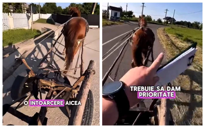 Cal și căruță, la lecția de condus FOTO: Captura video