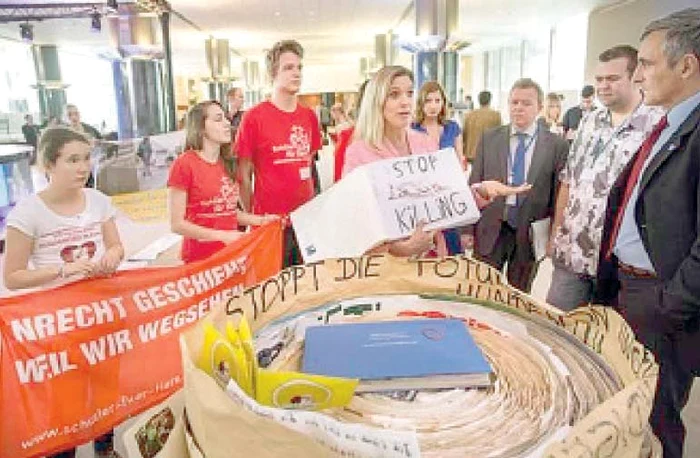 
    Au participat mii de copii, din 11 state europene, din care 150 au fost din România.  