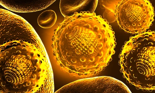 1 63975 original jpg jpeg