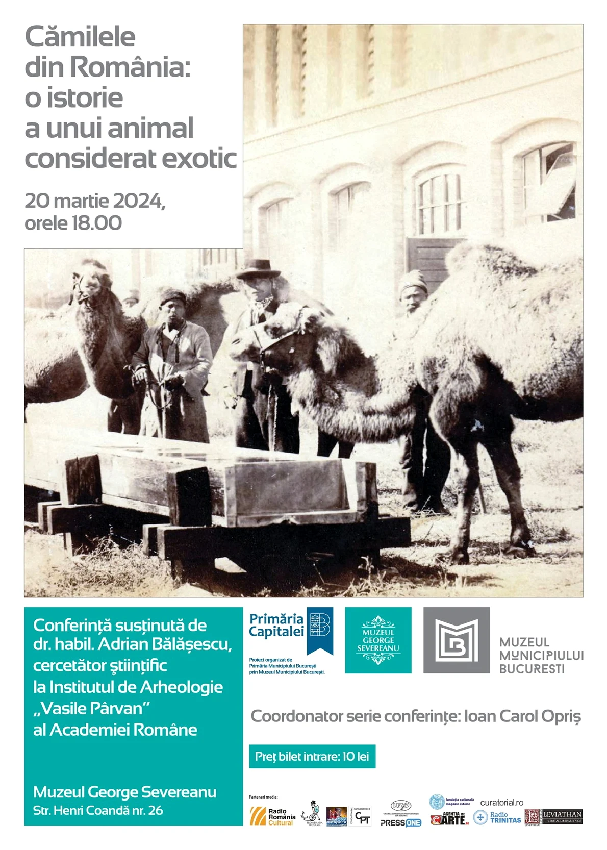 Conferința „Cămilele din România: o istorie a unui animal considerat exotic”, la Muzeul George Severeanu