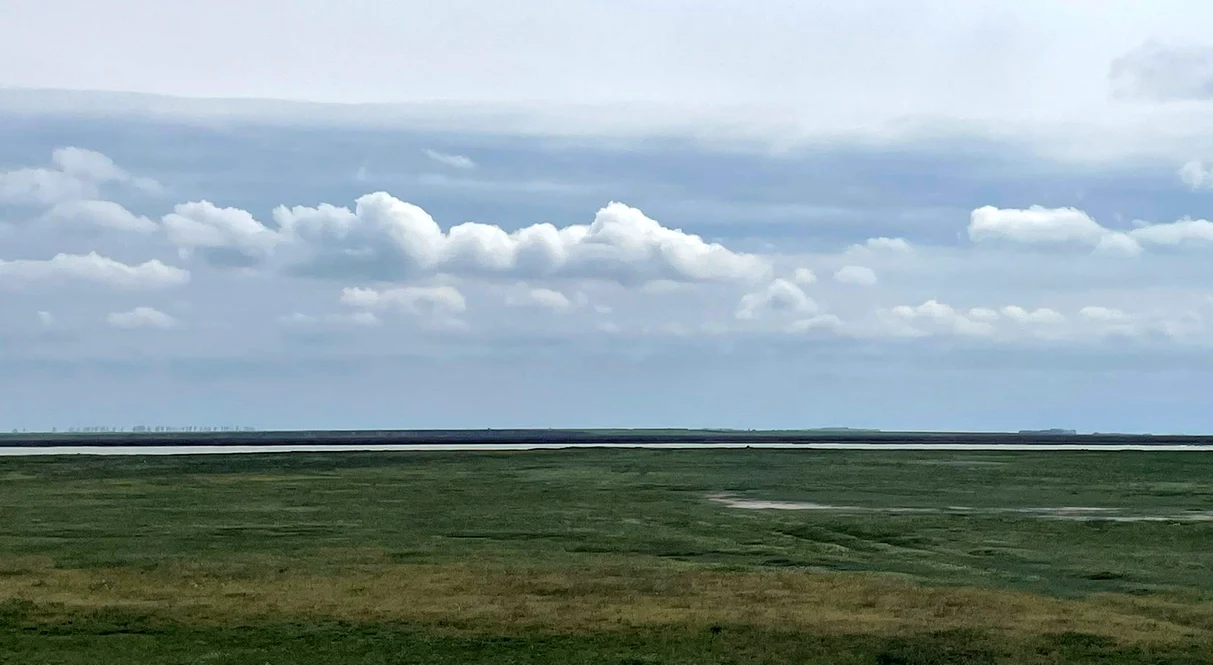 Ochi de apă, în lacul Amara, în 2023 FOTO Iulian Bunilă