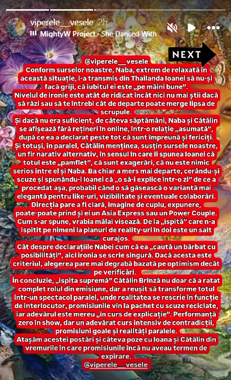 Dezvăluirile făcute de Viperele Vesele. Foto: captură Instagram 