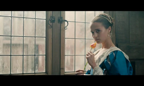 "Tulip fever"   pe când laleaua făcea istorie jpeg