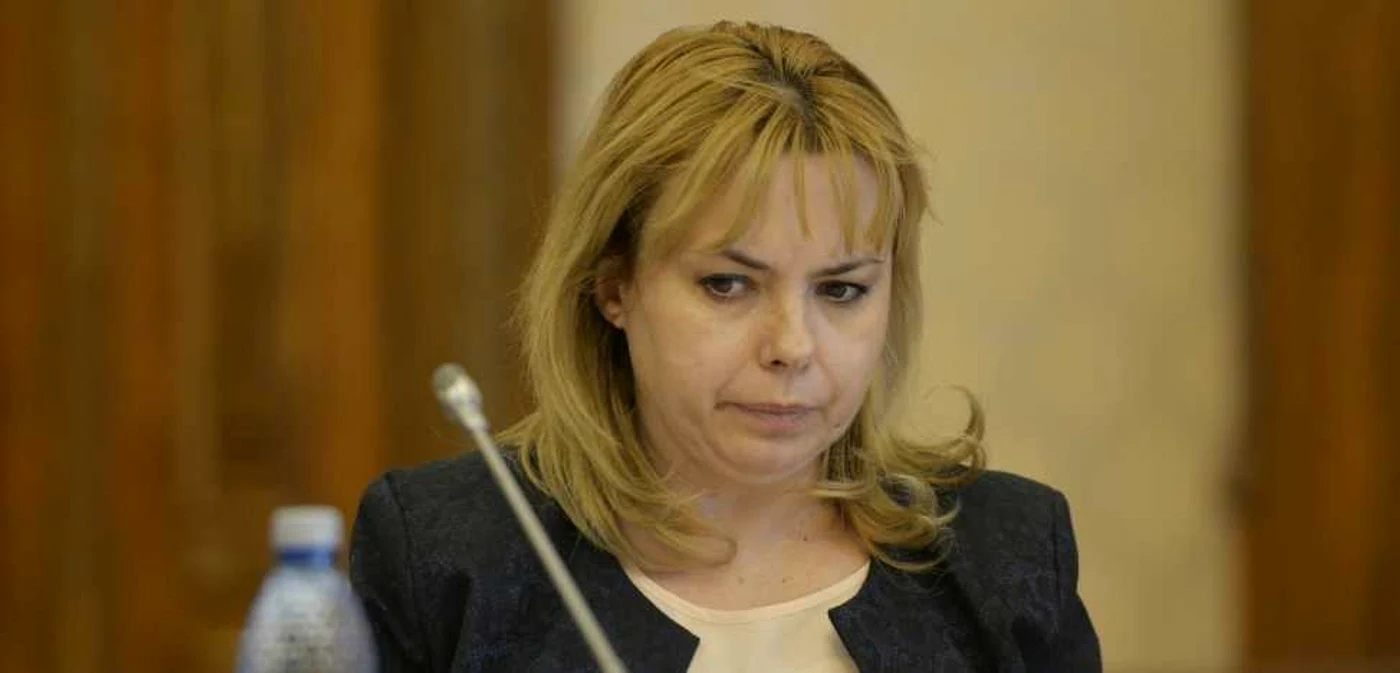 Anca Dragu mai promisese plata taxelor cu cardul din luna iunie, dar procesul a fost întârziat  FOTO Mediafax