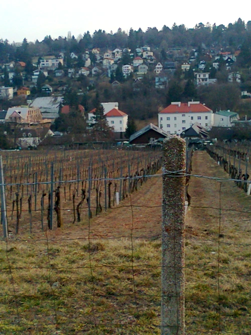 Vin, pîine cu nuci, ore de povești jpeg