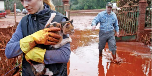 O tânără din Devecser şi-a salvat pisica în ultimul moment