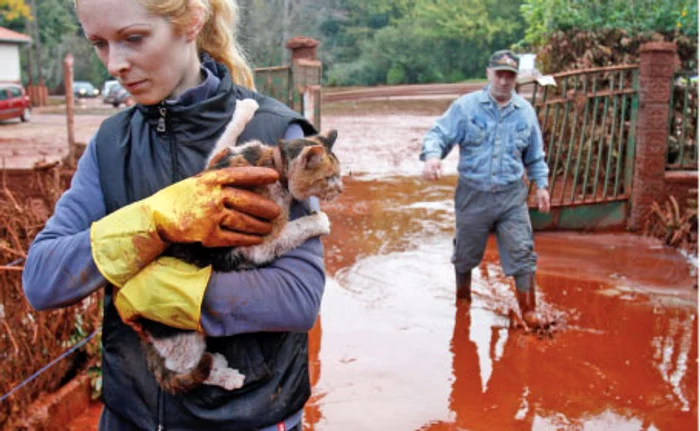 O tânără din Devecser şi-a salvat pisica în ultimul moment