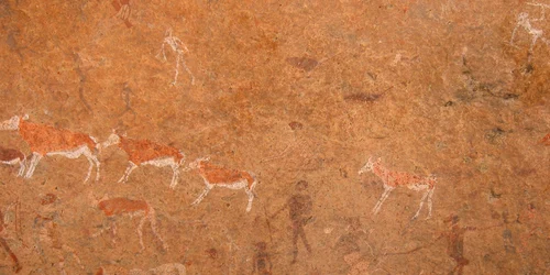 Weiße Dame Brandberg jfif