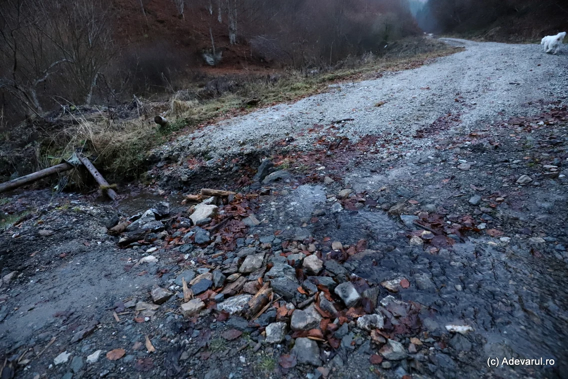 Drumul intre Runcu Mare și vadu Dobrii  Foto Daniel Guță ADEVĂRUL (32) JPG
