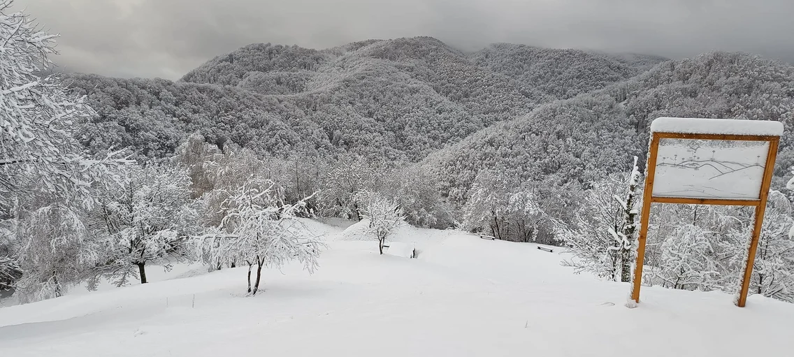 Cetatea dacică Costesti iarna  Sursa Sorin Zgăvîrdean Facebook (3) jpg