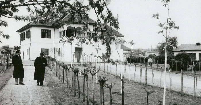 conac cotesti