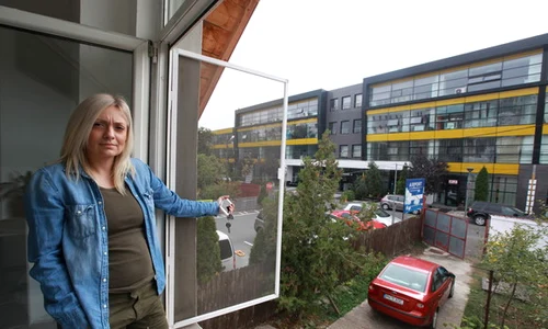 Așa arăta curtea Roxanei Mărișoiu înainte să înceapă construcția podului  jpeg