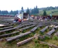 DSCF3554 jpg