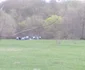picnic