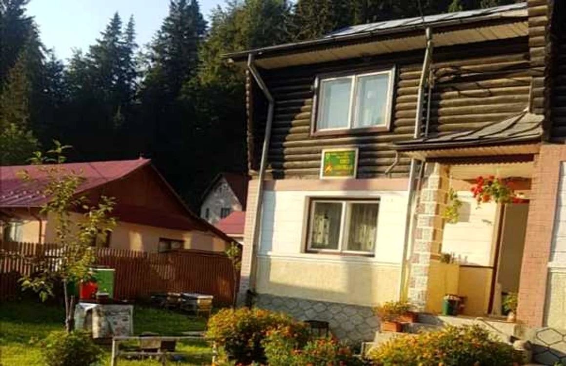 cabana directia silvica
