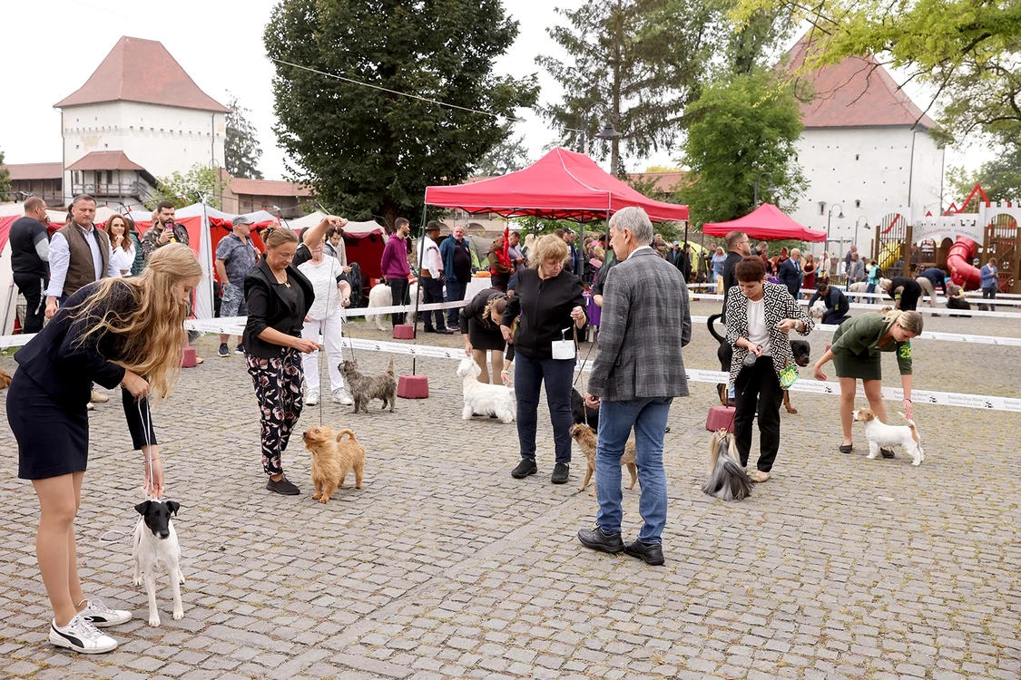 La concurs au venit 900 de exemplare din aproape 200 de rase. Foto: Facebook Dracula Dog Show