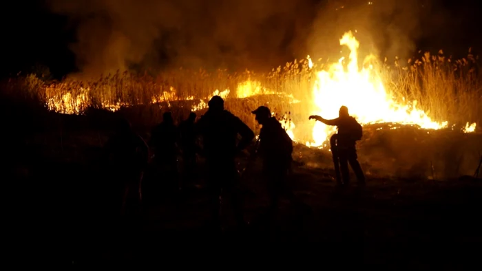 incendiu vegetatie uscata