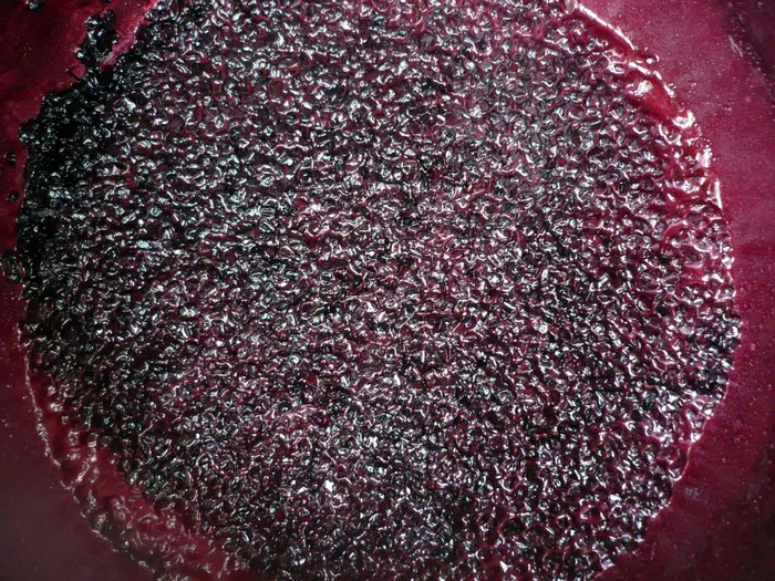 
    Dulceaţă de fructe de soc  