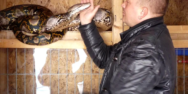 Doar diseară  îl mai puteţi vedea pe Arakn în spectacol, la Piteşti