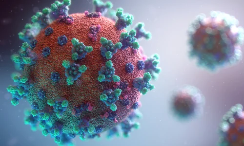 coronavirus in romania 13 ianuarie jpg