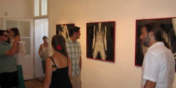 expozitie cluj 