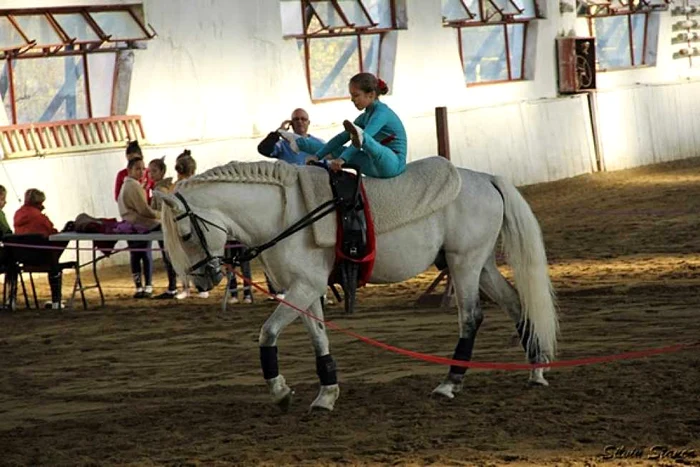 La Timisoara a avut loc primul campionat de voltija