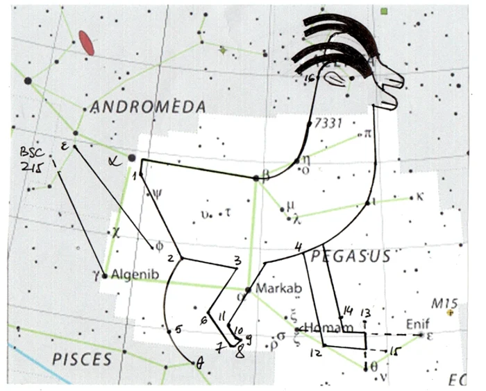 Fig. 3. Reprezentarea pictogramei nr. 1 în constelațiile Pegas și Lacerta.