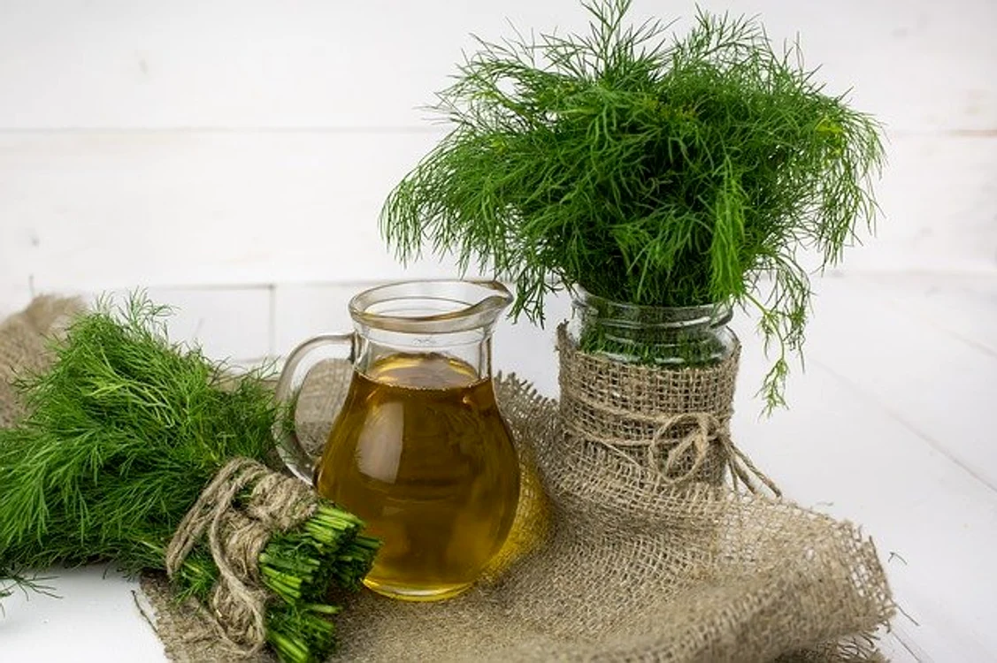 Mărarul poate fi valorificat în preparatele culinare pentru efectul său calmant Foto: pixabay.com