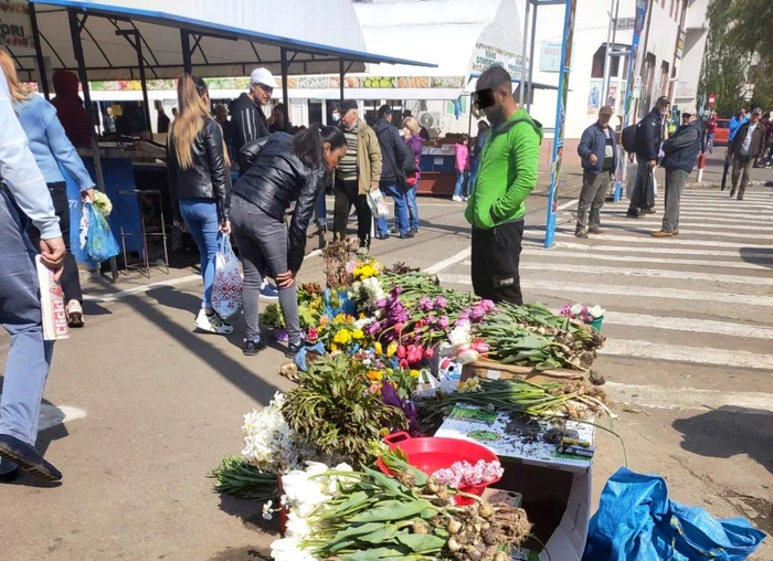 Florile erau vândute la bucată FOTO: Cristi Valentin Misăilă