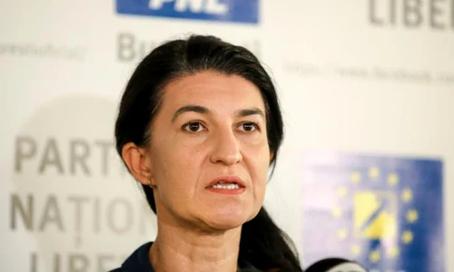 ministrul muncii violeta alexandru despre somajul tehnic al bugetarilor jpeg