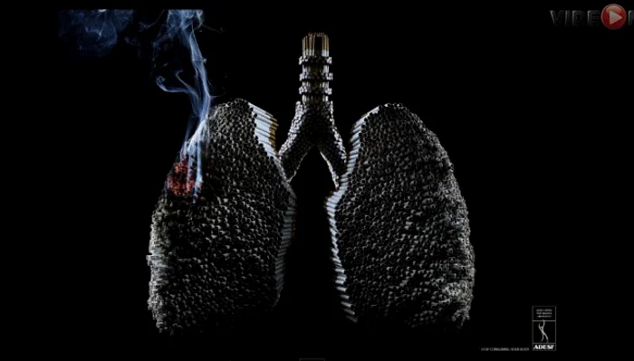 Experimentul are un rezultat tulburător